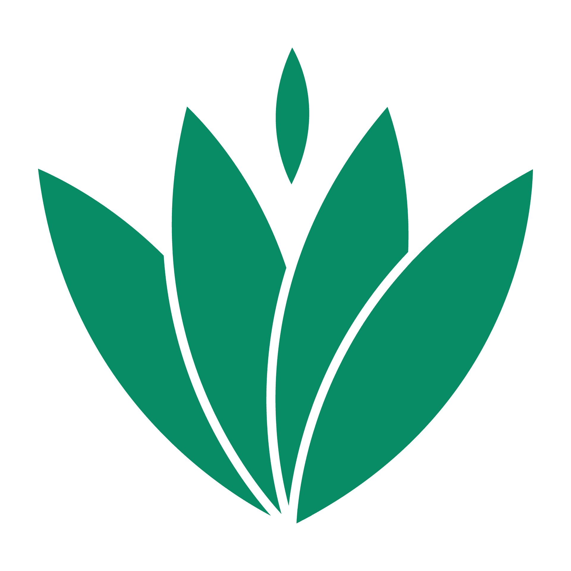 PracMind logo
